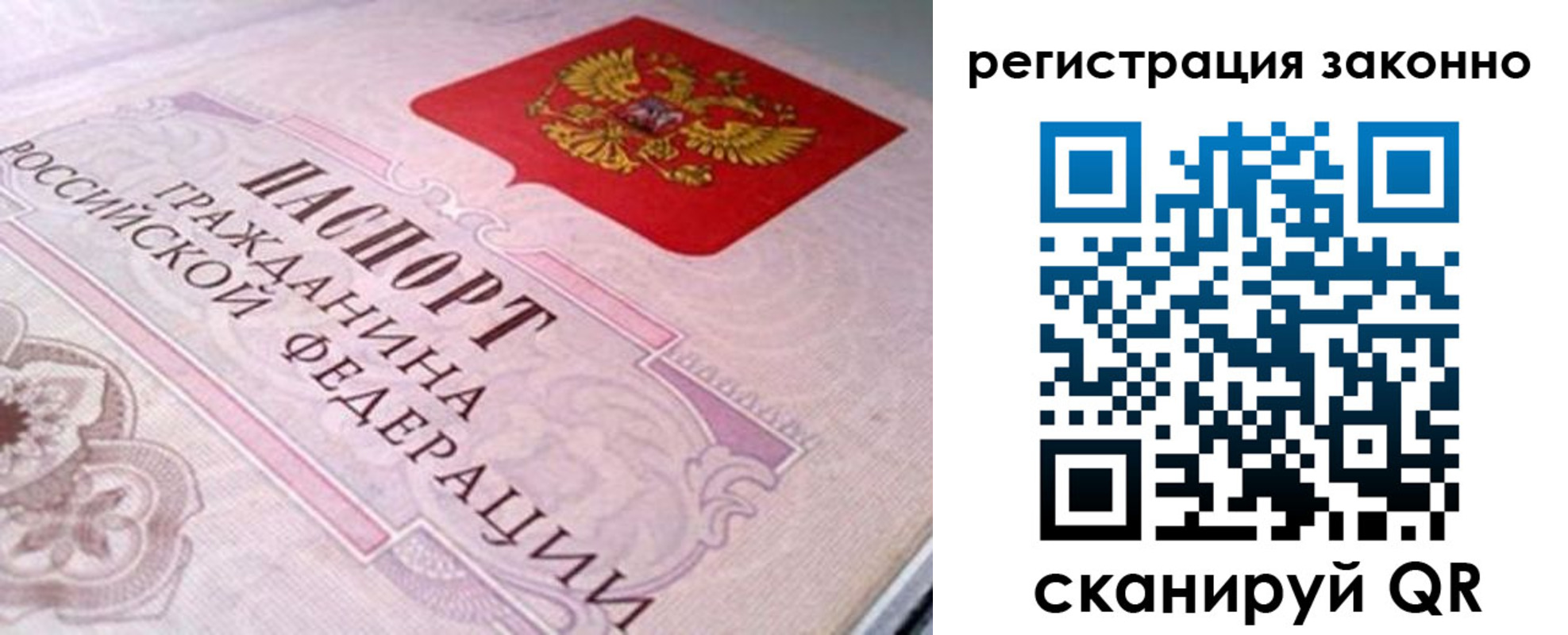 прописка гарантия в Калининграде